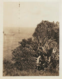 Art & Photography - Lot of 13 Original Images Cir. 1921 Photos, Negatives & Envelope Oahu Hawaii, Matson Cruse Line.