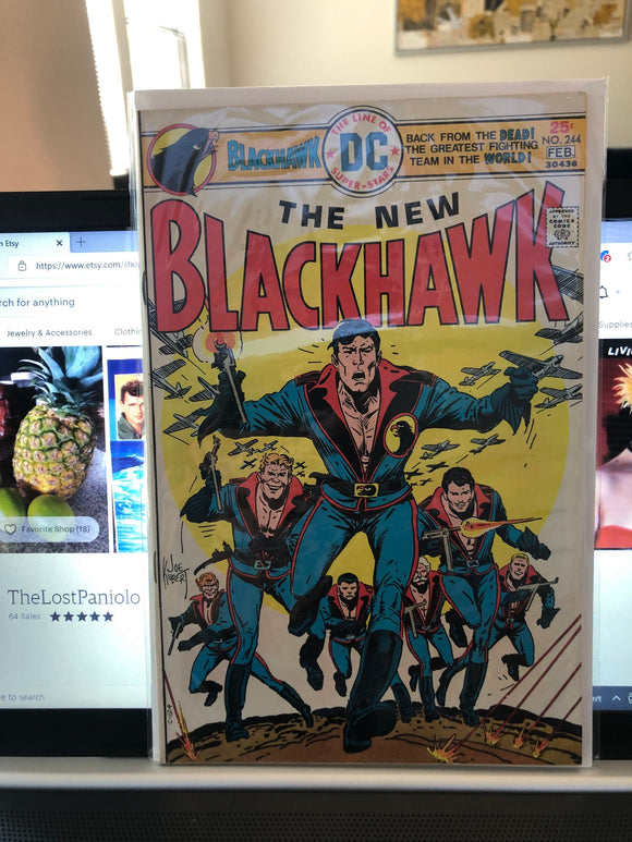 Vintage Comics DC Comics Blackhawk Number 244 February 1976 Bagged And Boarded Great Cover Art