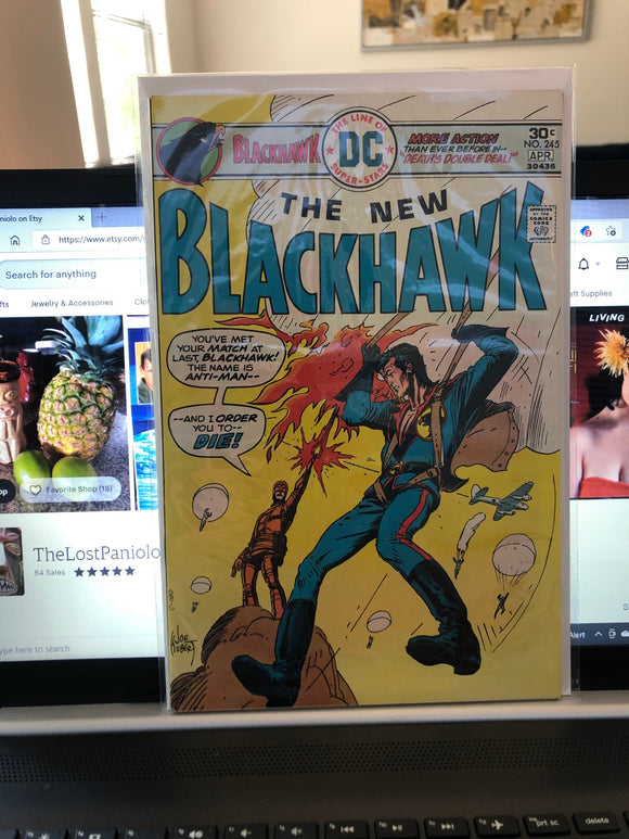 Vintage Comics DC Comics Blackhawk Number 245 April 1976 Bagged And Boarded Fantastic Cover Art